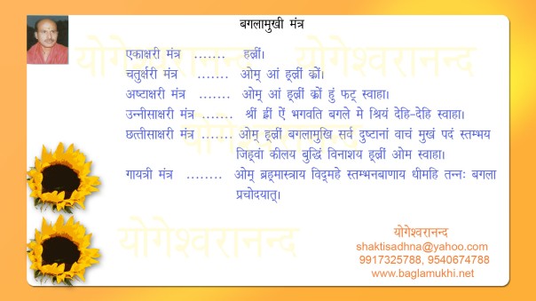 Baglamukhi Mantra in Hindi