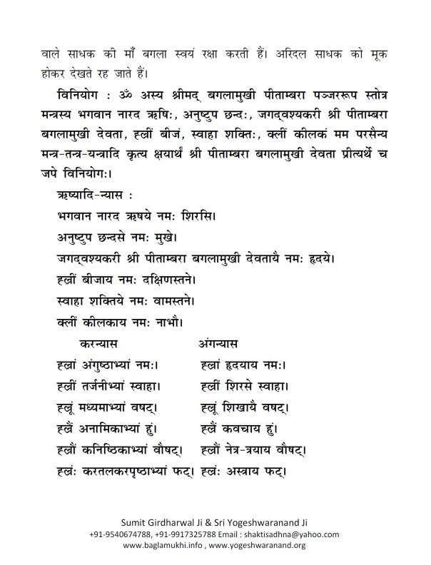 Baglamukhi Panjar Stotram Hindi Sanskrit Pdf 2